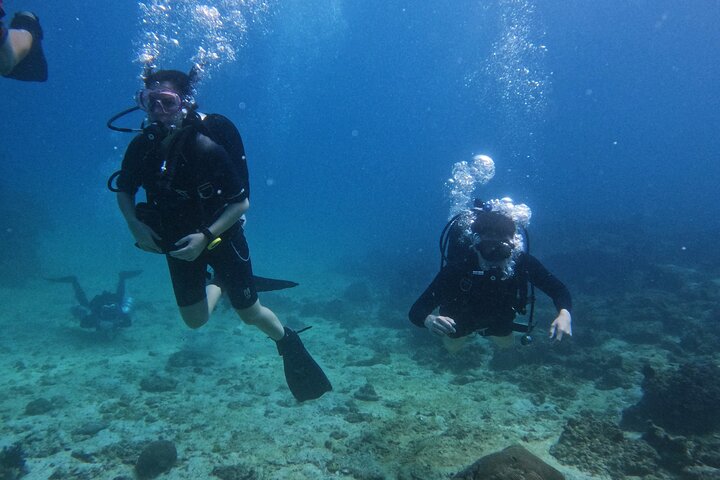 2 Dives in Oman, Dibba Musandam for certified divers