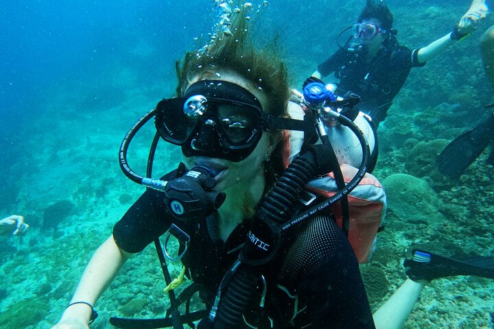 2 Dives in Oman, Dibba Musandam for certified divers