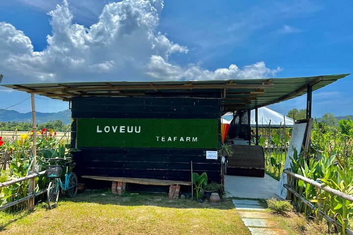 Penang: ATV Ride in Balik Pulau with Snacks and Transfers