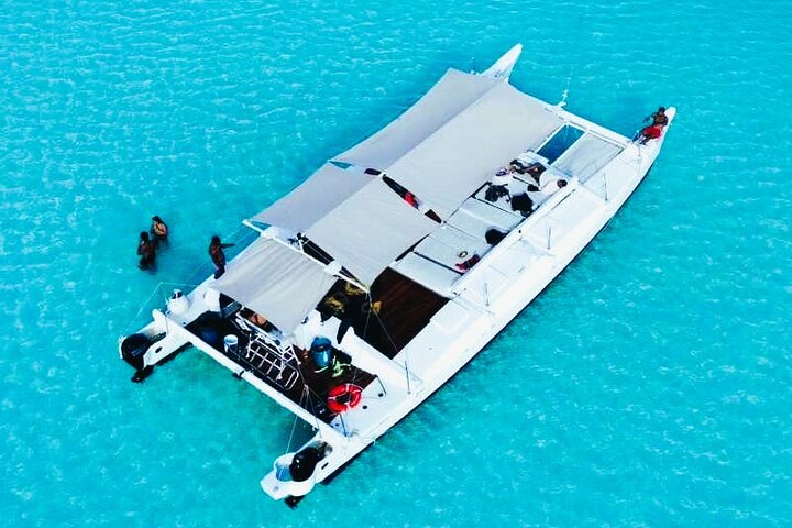 Catamaran Snorkel Adventure to El Cielo and The Money Bar Beach