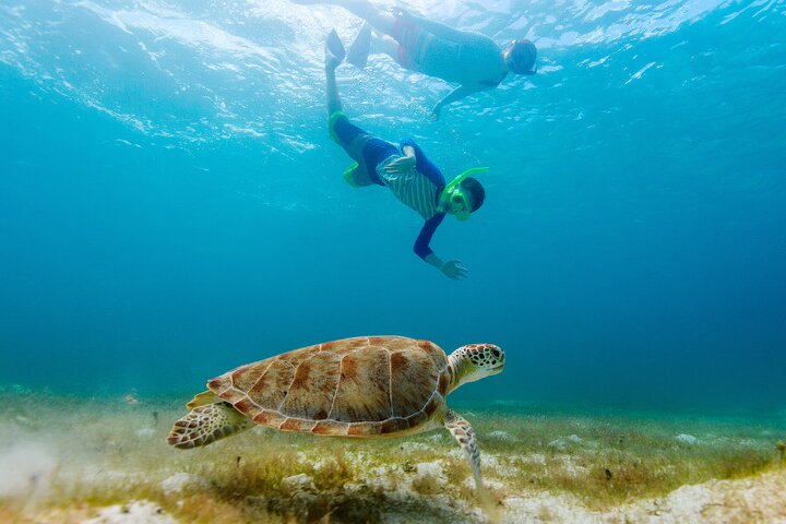 Catamaran Snorkel Adventure to El Cielo and The Money Bar Beach