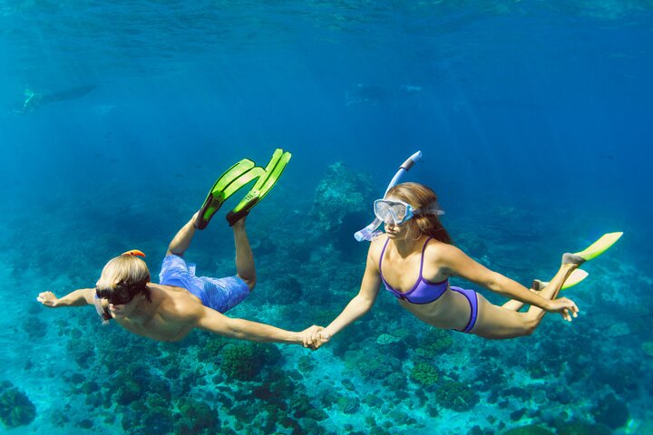 Catamaran Snorkel Adventure to El Cielo and The Money Bar Beach