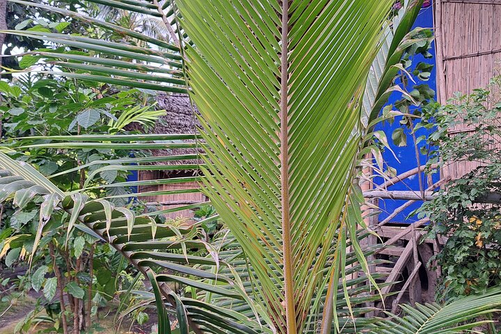 2 Nights Stay in Tanna including Accommodation, meals & transfers
