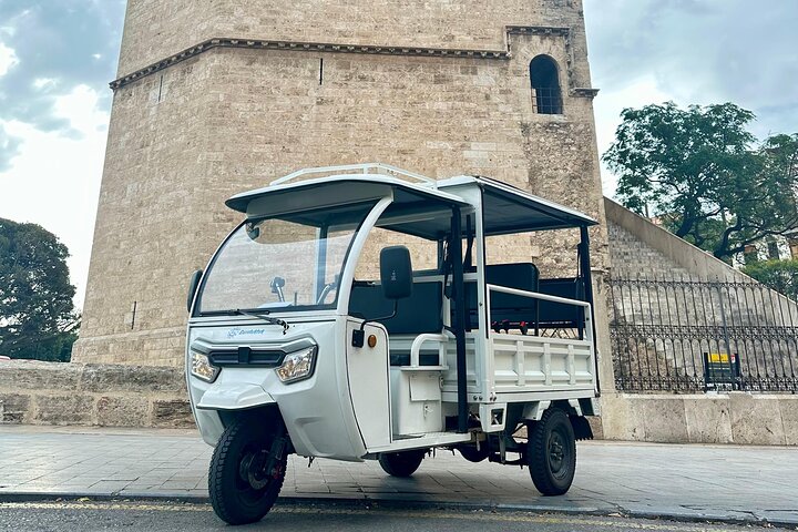 Valencia: Tuk tuk tour