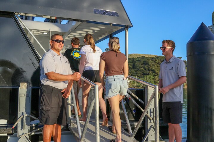 Discover the Bay - Hole in the Rock cruise includes Island Lunch