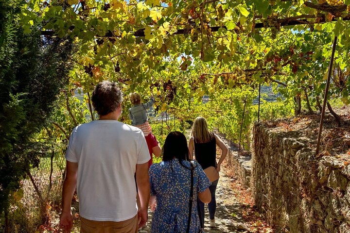 Best of the Douro in a Day: Boat, Wine and Family Lunch