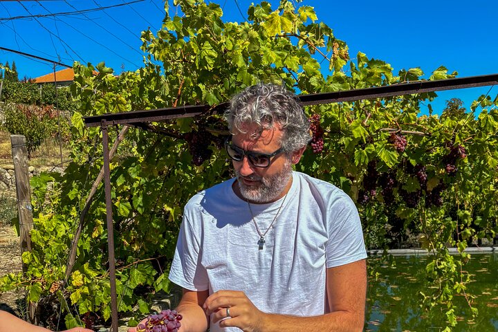 Best of the Douro in a Day: Boat, Wine and Family Lunch
