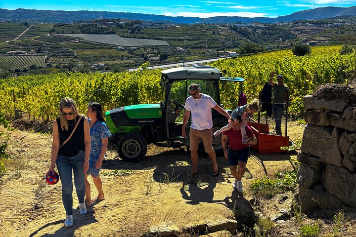 Best of the Douro in a Day: Boat, Wine and Family Lunch