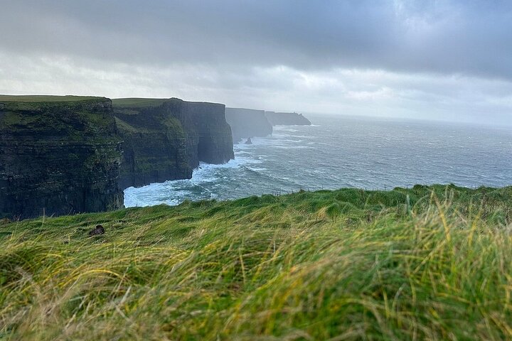 Private Cliffs of Moher Tour Small Group from Ennis, Shannon