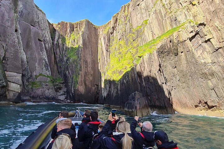 Blasket Island Sea Life Rib Tour,