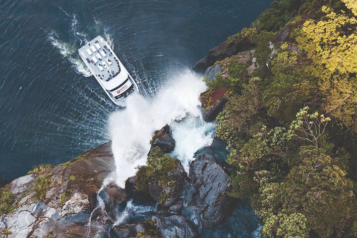 From Te Anau: Milford Sound Cruise & Glass-Roof Coach Tour