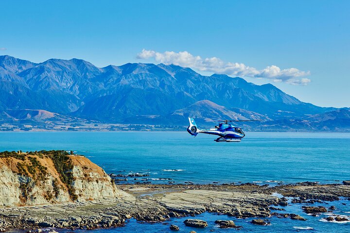 Kaikōura Whale Watching - 1hr 20min Ultimate Adventure