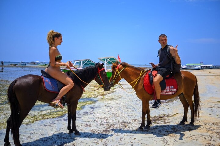Gili Air 1 Hour Horseback Beach Adventure