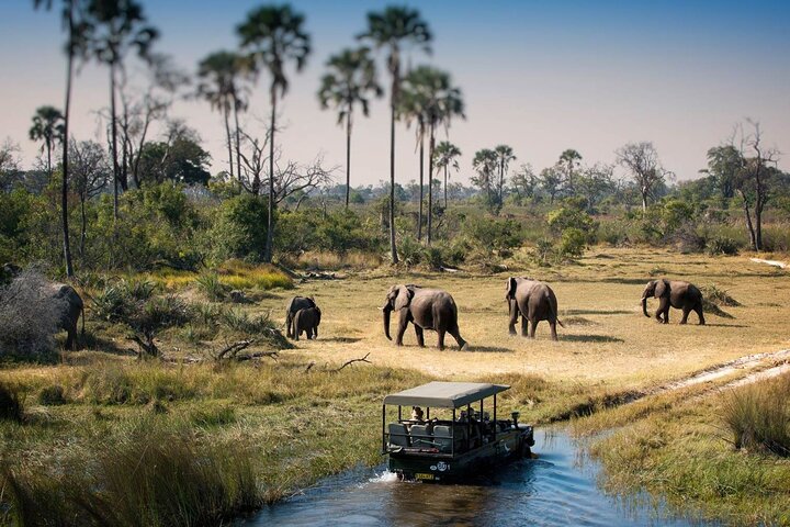 Chobe Day Trip Safari from Livingstone