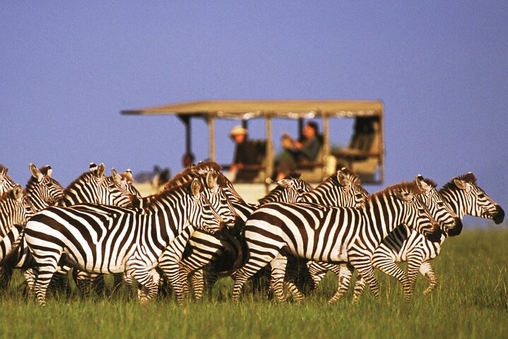Chobe Day Trip Safari from Livingstone