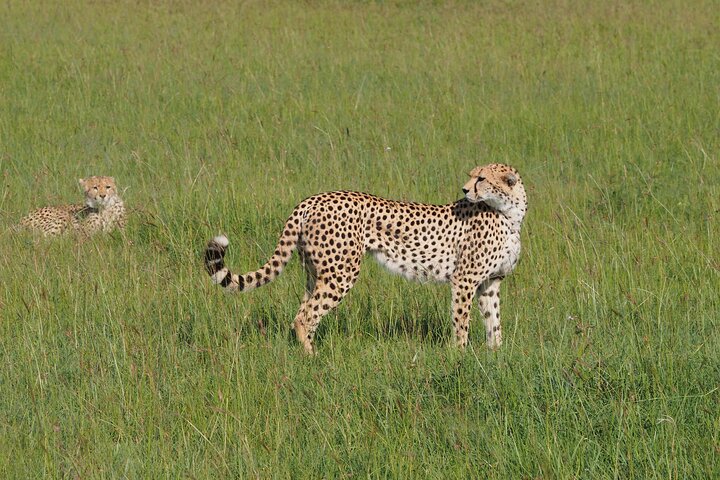 2 days 1 Night Tsavo East Private Safari from Diani beach
