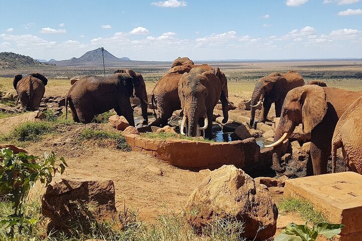 2 days 1 Night Tsavo East Private Safari from Diani beach