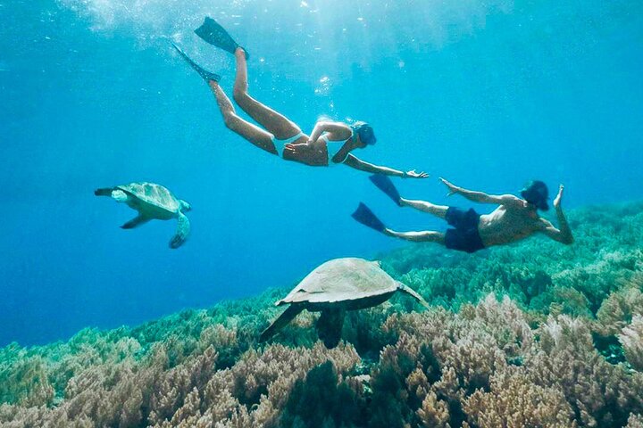 Snorkeling Manta Ray Safari in Nusa Penida