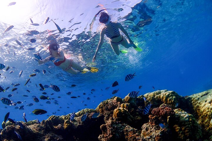 3 Semporna Islands Tour with Snorkel or Diving Experience