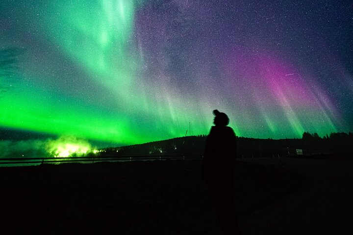 Rovaniemi: Northern Lights Pro Guaranteed - Unlimited Distance