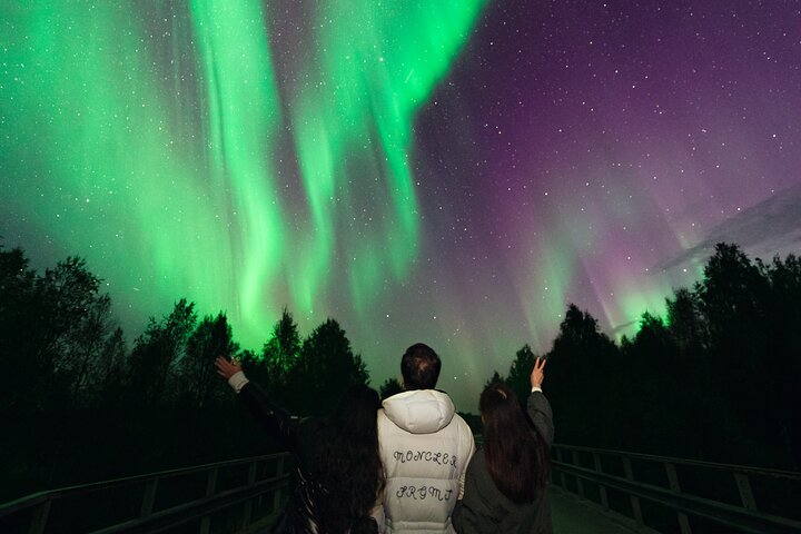 Rovaniemi: Northern Lights Pro Guaranteed - Unlimited Distance
