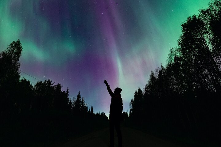 Rovaniemi: Northern Lights Pro Guaranteed - Unlimited Distance