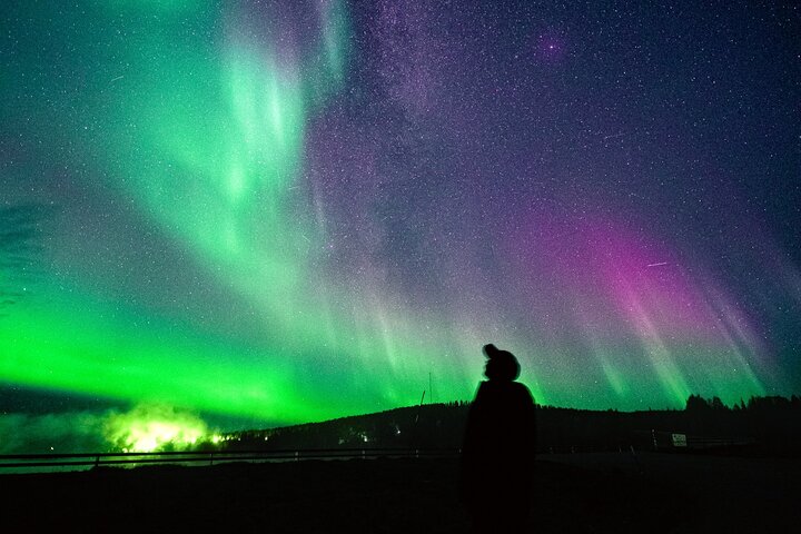 Rovaniemi: Northern Lights Group Tour - Guaranteed View