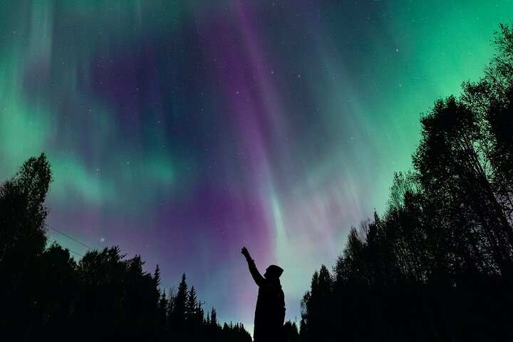 Rovaniemi: Northern Lights Group Tour - Guaranteed View