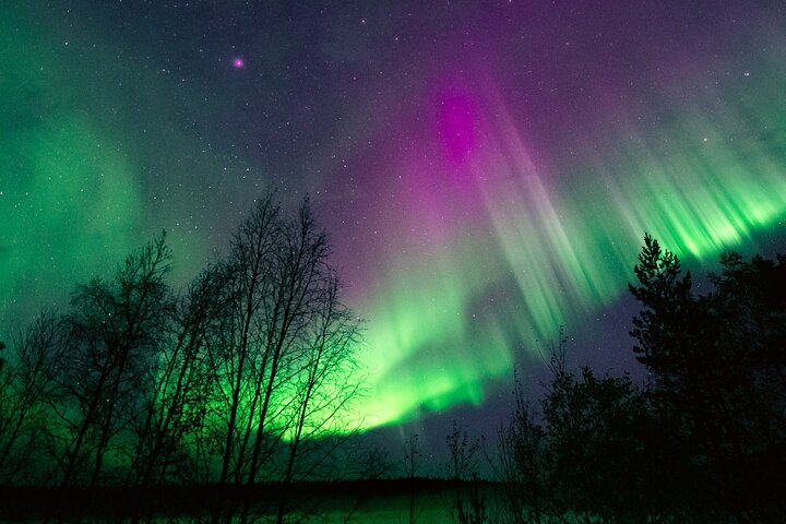 Rovaniemi: Northern Lights Group Tour - Guaranteed View