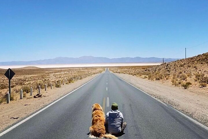 Tour to Cachi from Salta