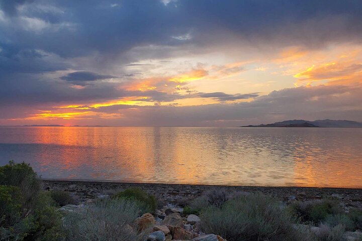 Great Salt Lake Safari - Discover Antelope Island
