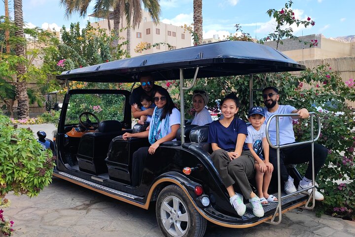 Heritage private Tour by classic carts