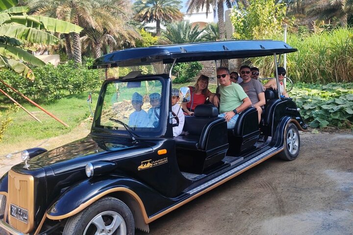 Heritage private Tour by classic carts