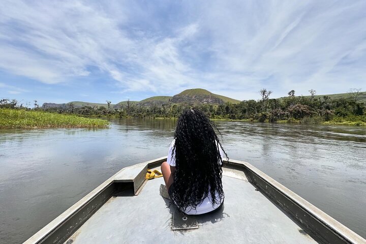 Gorilla Full Day in Lesio Luna Reserve From Brazzaville