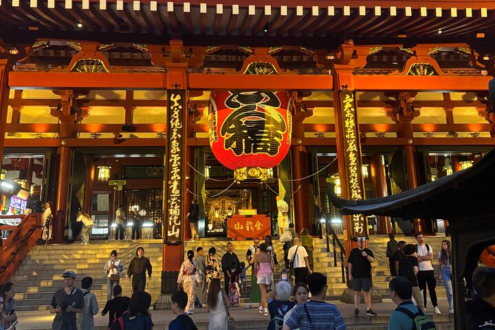 Tokyo: Private 5-Hour Layover Tour - Haneda/Narita Airports