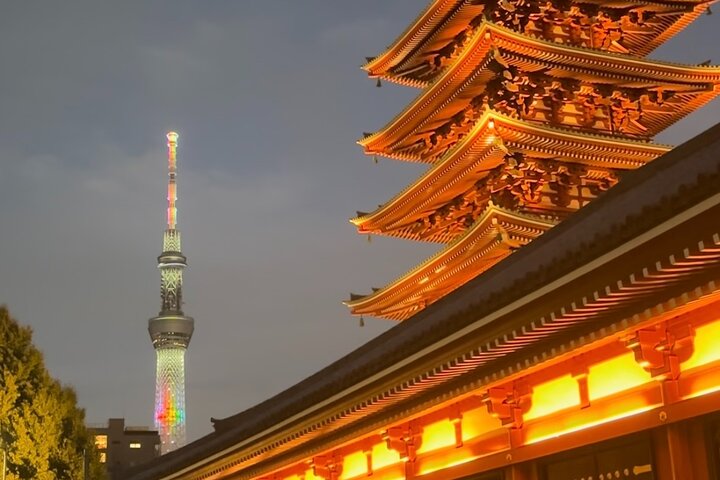 Tokyo: Private 5-Hour Layover Tour - Haneda/Narita Airports