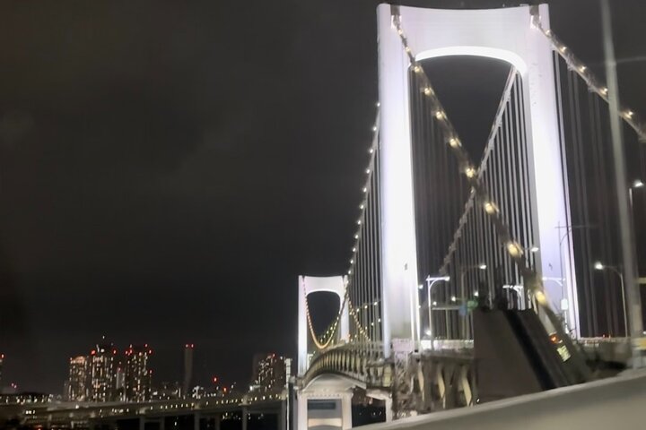 Tokyo: Private 5-Hour Layover Tour - Haneda/Narita Airports