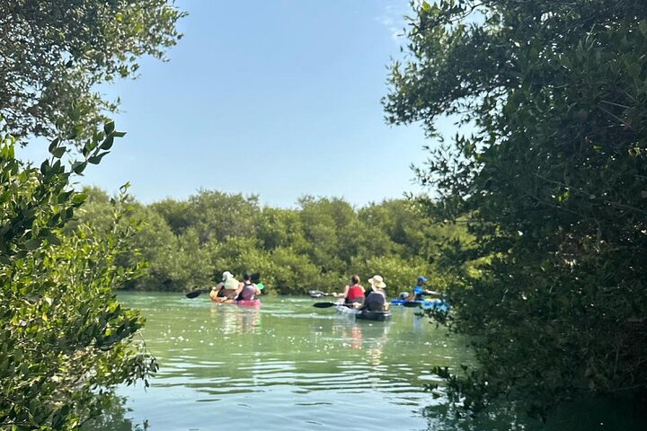 Mangrove Kayak Tour