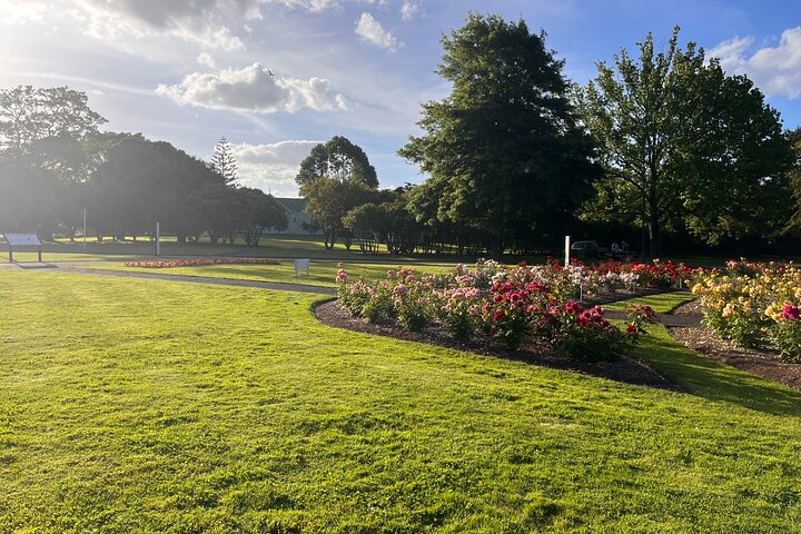 2 Days Private Tour in Tauranga, Rotorua, Taupo from Hamilton
