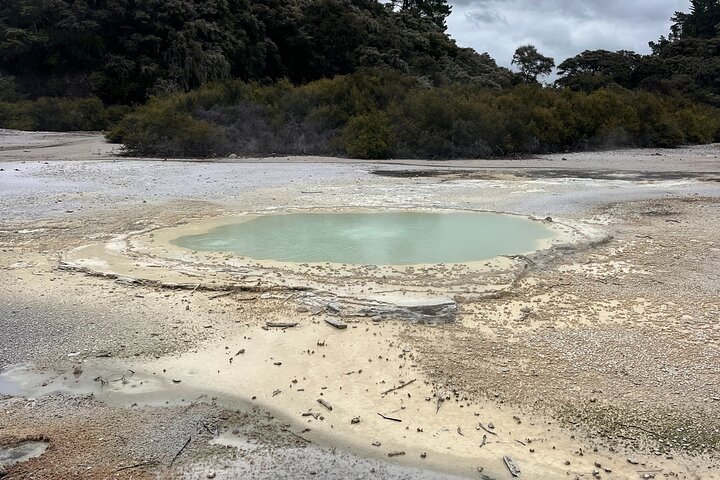 2 Days Private Tour in Tauranga, Rotorua, Taupo from Hamilton
