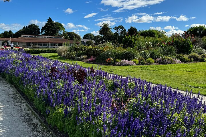 2 Days Private Tour in Tauranga, Rotorua, Taupo from Hamilton