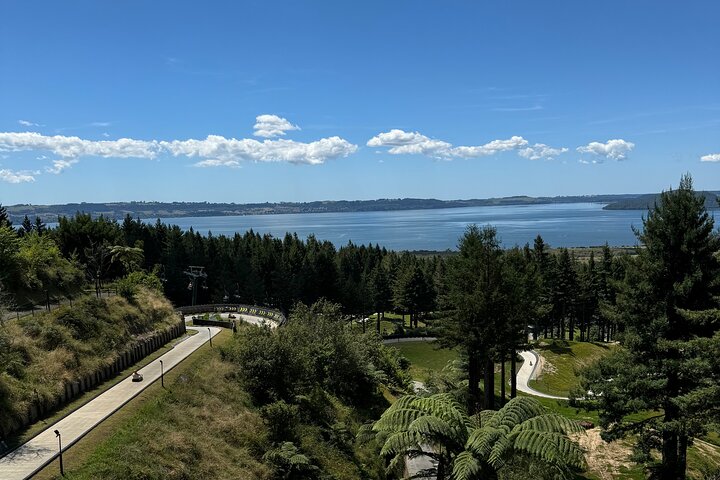 2 Days Private Tour in Tauranga, Rotorua, Taupo from Hamilton