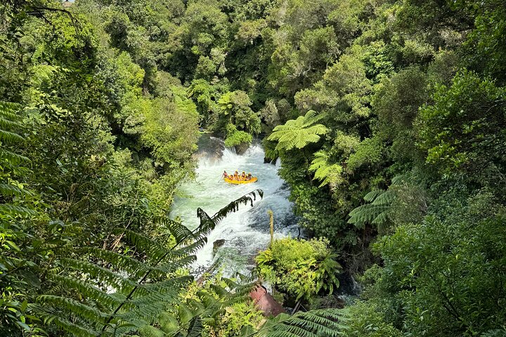 2 Days Private Tour in Tauranga, Rotorua, Taupo from Hamilton