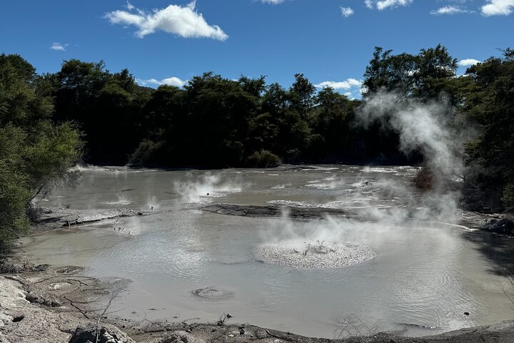 2 Days Private Tour in Tauranga, Rotorua, Taupo from Hamilton