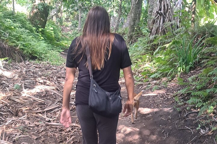 Hiking around Mount Yasur and Tanna Island