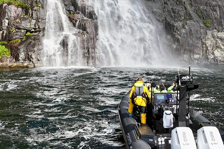 Lysefjord RIB Safari from Stavanger