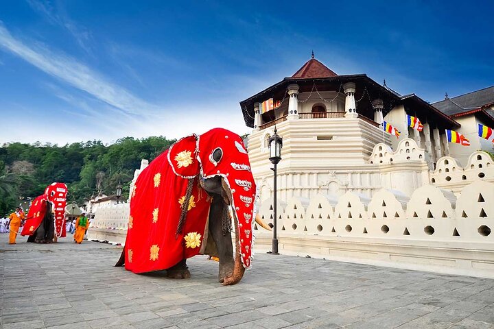 Kandy Day Tour from Galle