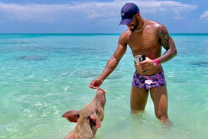 Nassau Swimming Pigs and Private Beach Club Escape
