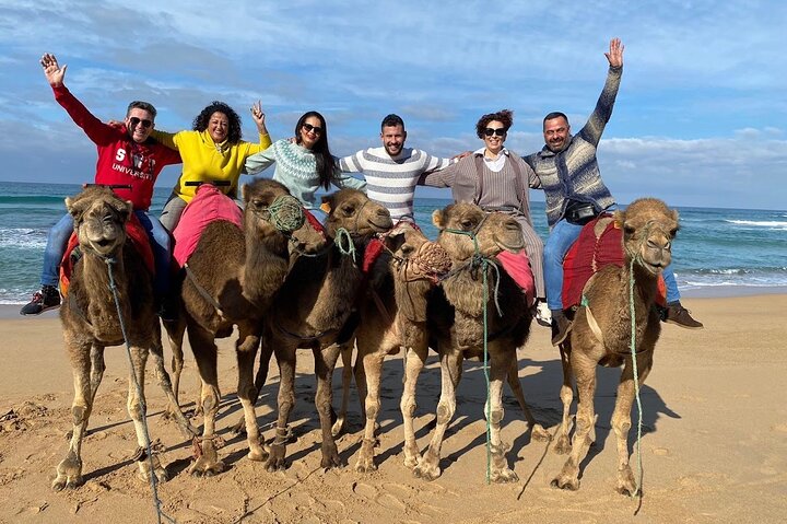 Discover Tangier in a Full Day Tour with Camel ride