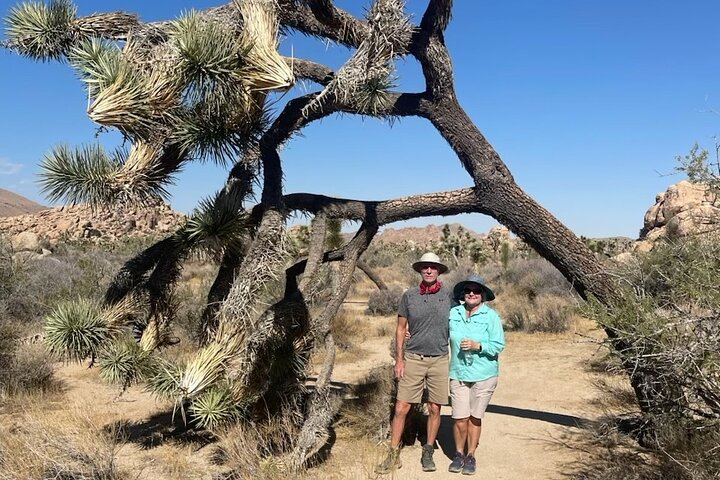 Private Sightseeing Adventure Tour of Joshua Tree National Park